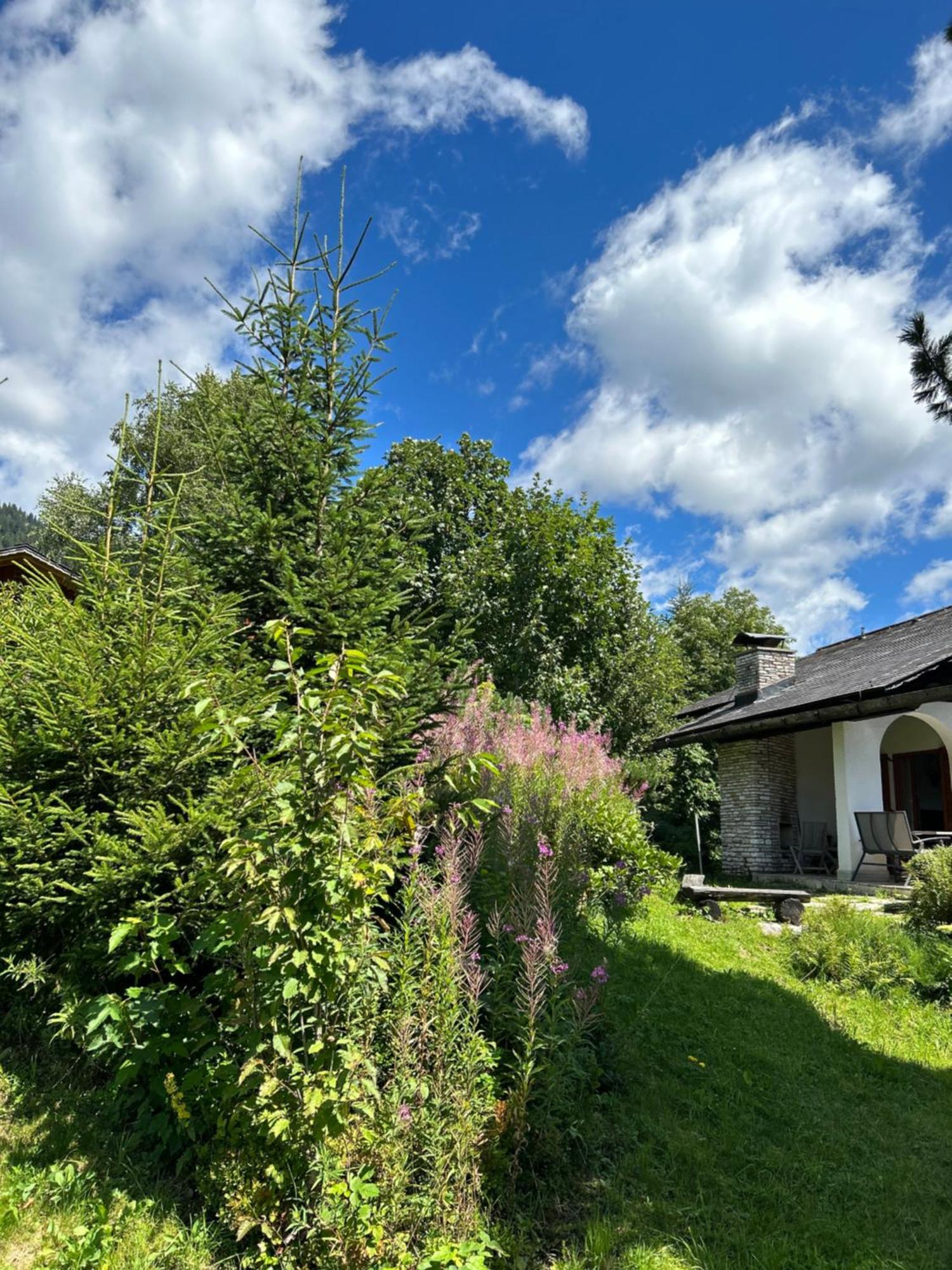 Haus Grimmingblick Villa Zlem Dış mekan fotoğraf